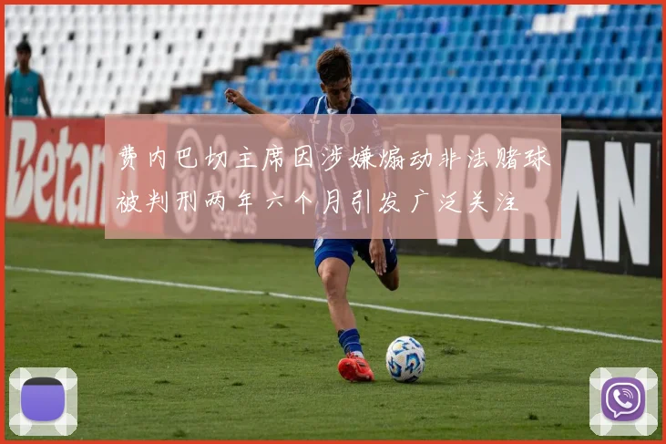 费内巴切主席因涉嫌煽动非法赌球被判刑两年六个月引发广泛关注